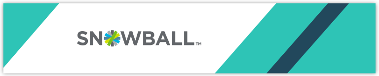 Snowball is our choice for top digital and mobile fundraising software.